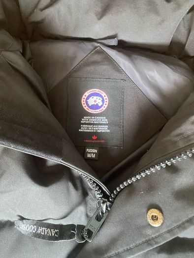 Canada Goose