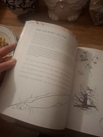 The magic of drawing