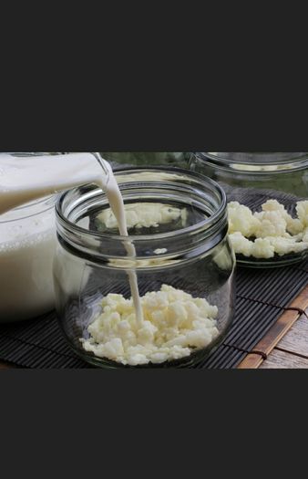 Kefir grains....treat your gut!!