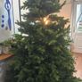 christmas tree Image 2
