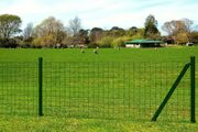 Euro Fence Steel 25x1 m Green