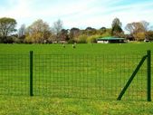 Euro Fence Steel 25x1.0 m Green