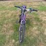 Girls Bicycle Image 2