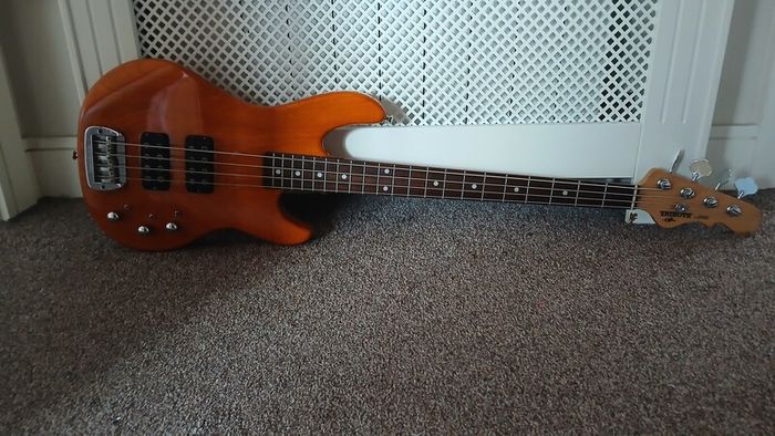 G&L L2000 Tribute