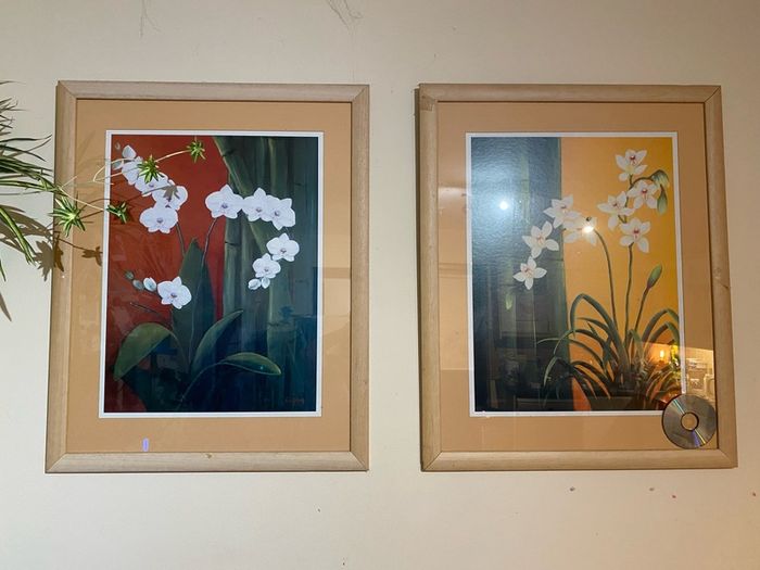 2 large Pictures in frames