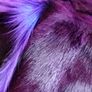 stunning animal rugs, never used. 25 each Image 2