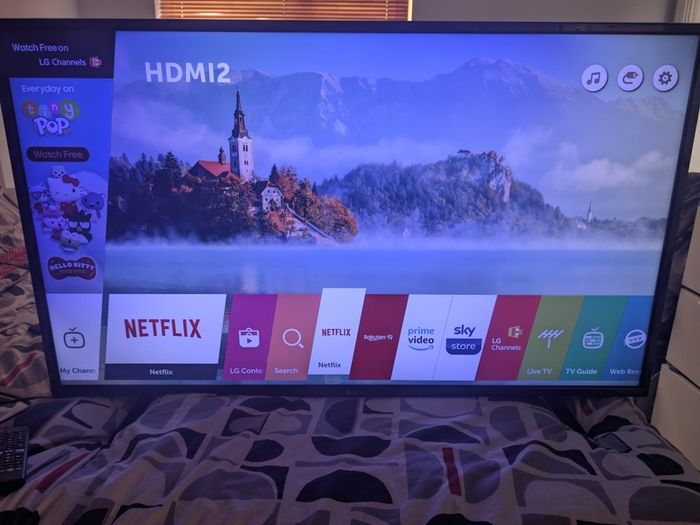 49 inch LG Smart TV