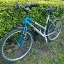 Bicycle Marbella Coventry Eagle Image 4