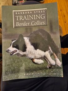 Training Border Collies. By Barbara Sykes's Large Volume Paperback In Good Condition.  See Photos For Same.