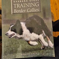 Training Border Collies. By Barbara Sykes's Large Volume Paperback In Good Condition.  See Photos For Same.