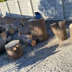 Logs free