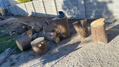 Logs free