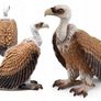 Schleich Vulture Animal Figure Image 4