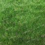 New 40mm Artificial Grass - Free Delivery Image 4