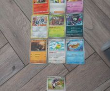 Pokemon books+Pokemon Cards