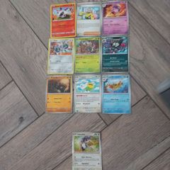 Pokemon books+Pokemon Cards