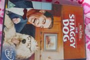 the shaggy dog kids dvd