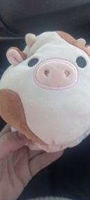 teddy squishmallows flipamallow