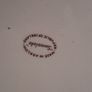 Arklow "Swanlake" dinner plates Image 2