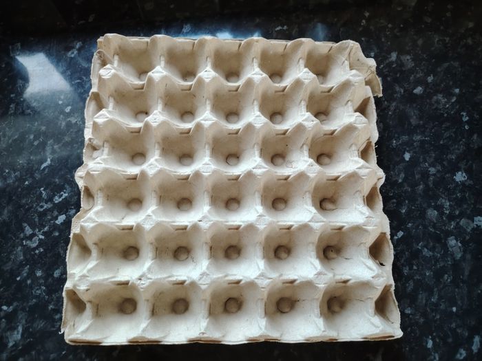 Egg Carton Tray
