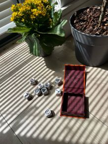 Rorys Story Cubes Original Set 9 Dice Magnetic Box Early Edition