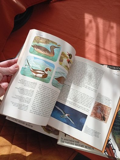 Nature Books