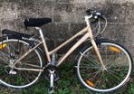 ladies Trek hybrid bike
