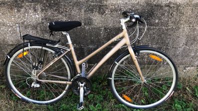 ladies Trek hybrid bike