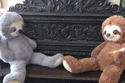 Pair of Giant Sloth Teddies