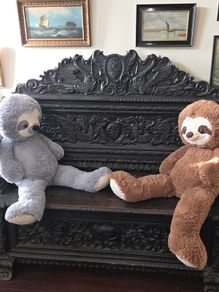 Pair of Giant Sloth Teddies