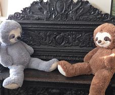 Pair of Giant Sloth Teddies