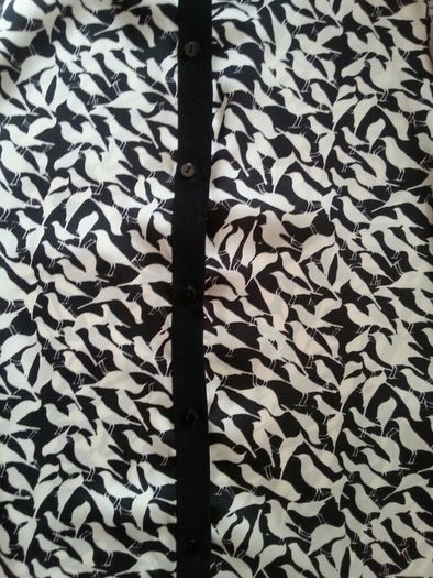 Zara shirt