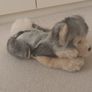 Adorable Husky Puppy Toy. Image 8