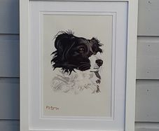 Custom Pet Bespoke Portraits