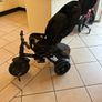 6in1 Trike Image 2