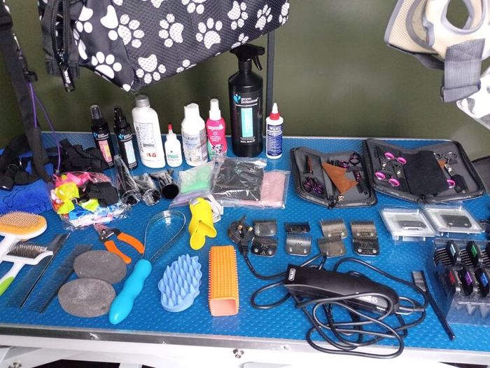 Dog Grooming Trailer
