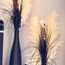 3 Black vases with fluffy pampas Image 6