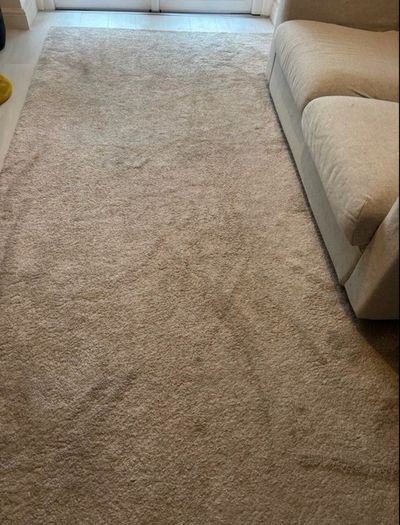 Large Rug