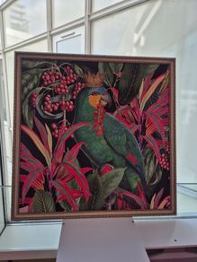 Parrot king framed picture