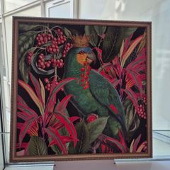 Parrot king framed picture