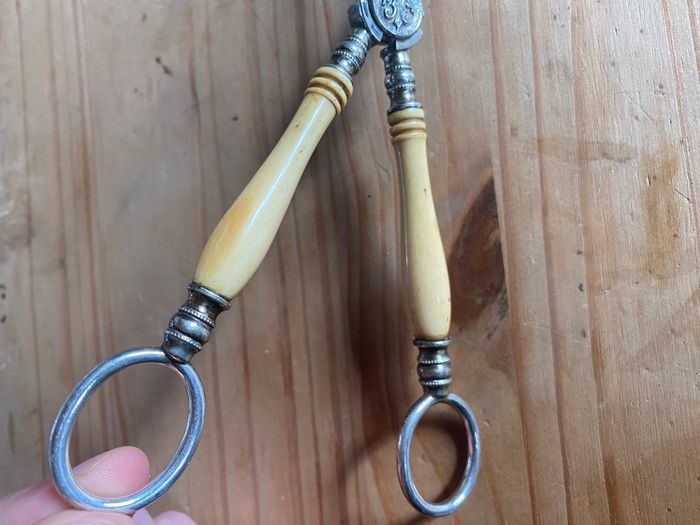 Vintage Silver Plated Grape Scissors Bone Handle
