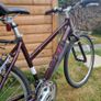 Pendleton Brooke Ladies Bike Image 4
