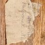 19th Century Solid Oak Free Trade Union Ballot Box Image 7