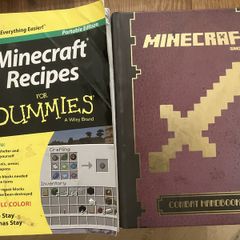 2 minecraft Books