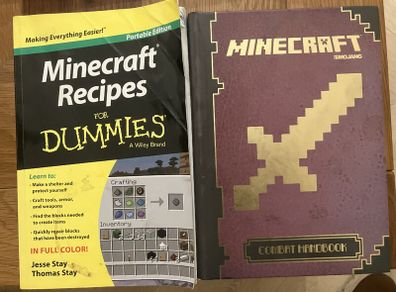 2 minecraft Books