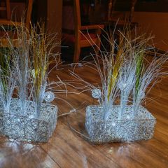 decorative ligjts