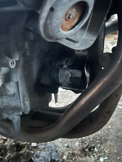 2004 Honda Cbf 600n