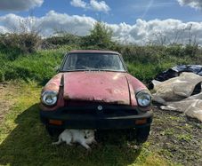 Mg Bgt
