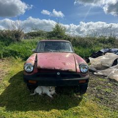 Mg Bgt