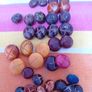 Vintage Aran Buttons Image 4